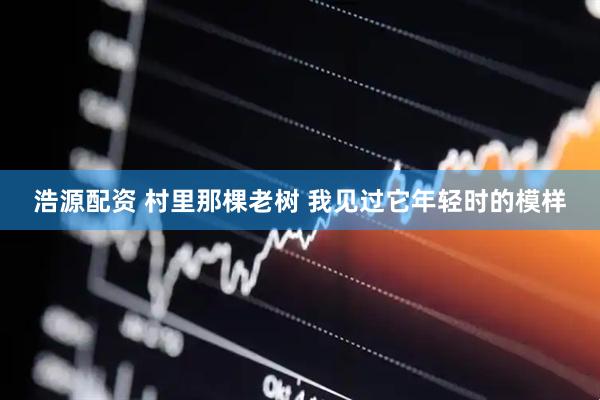浩源配资 村里那棵老树 我见过它年轻时的模样