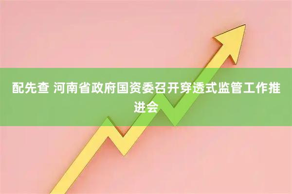 配先查 河南省政府国资委召开穿透式监管工作推进会