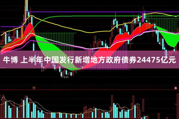牛博 上半年中国发行新增地方政府债券24475亿元